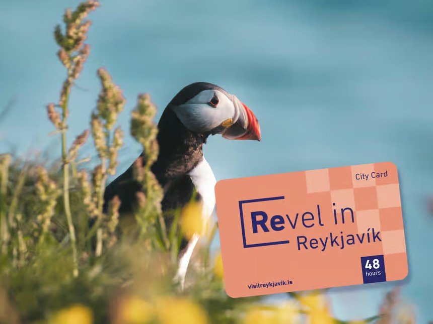 Reykjavik Card für Sightseeing in Islands Hauptstadt